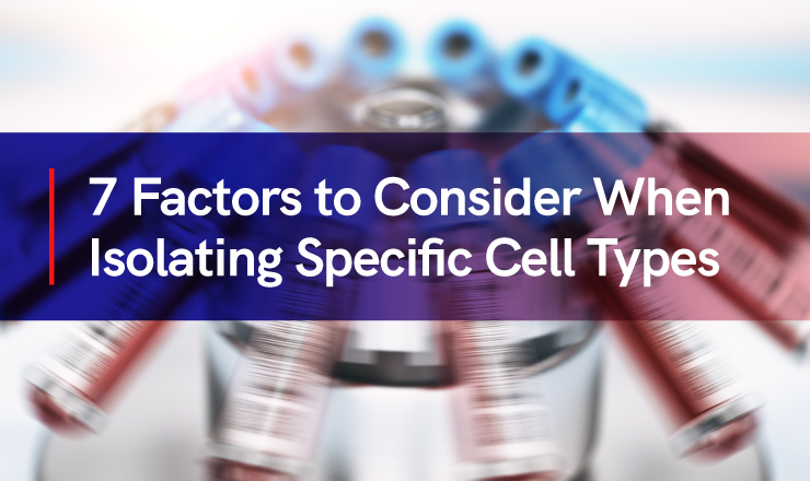 7 Factors to Consider When Isolating Specific Cell Types - Sanguine